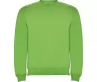 Roly CLASICA zelená světlá 114 - světle zelená
